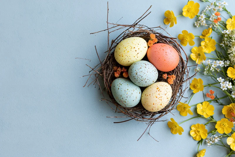 Five painted easter eggs in a twig nest surrounded by yellow and white flowers on a light blue surface