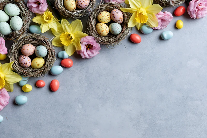 Easter eggs and flowers arranged in nests along the top edge of a grey surface