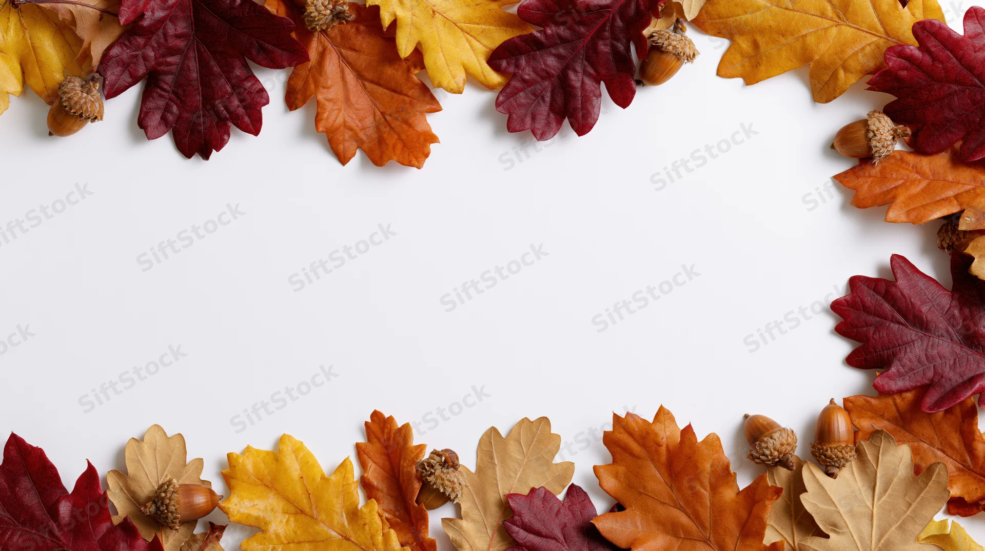 Autumn leaves and acorns arranged in a border frame on white background