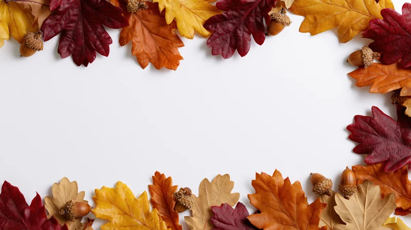 Autumn leaves and acorns arranged in a border frame on white background