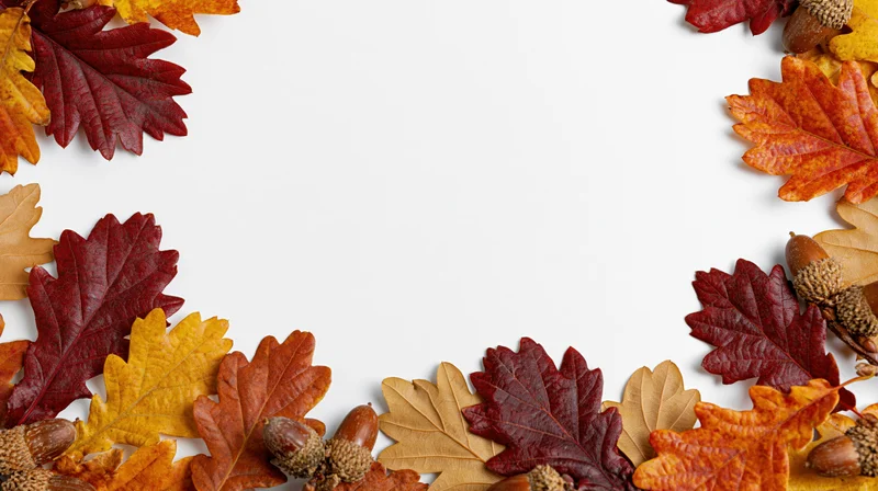 Autumn leaves and acorns arranged in a border around white copyspace