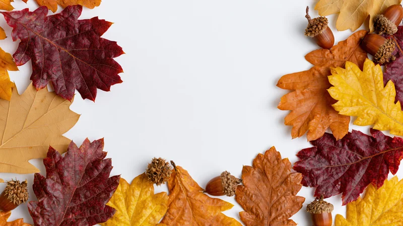 Autumn leaves and acorns arranged in a border around white copyspace