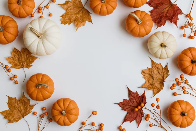 Small orange and white pumpkins with autumn leaves and berries arranged in a border on white surface