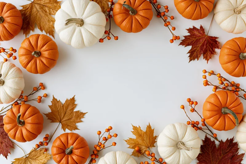 Small orange and white pumpkins with autumn leaves and berries arranged in a border around a white surface