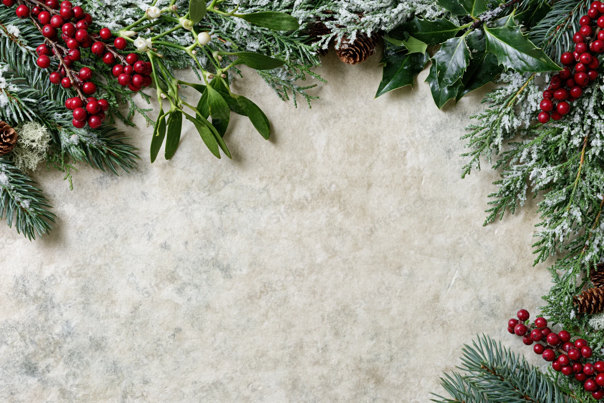Snow-dusted evergreen branches with holly and berries arranged as a border on textured surface