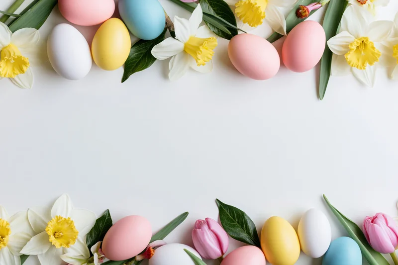 Painted easter eggs and spring flowers arranged in a border frame on white surface