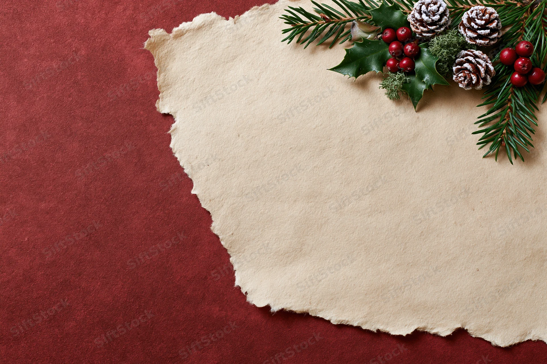 Torn parchment paper with evergreen sprigs and holly berries on red background