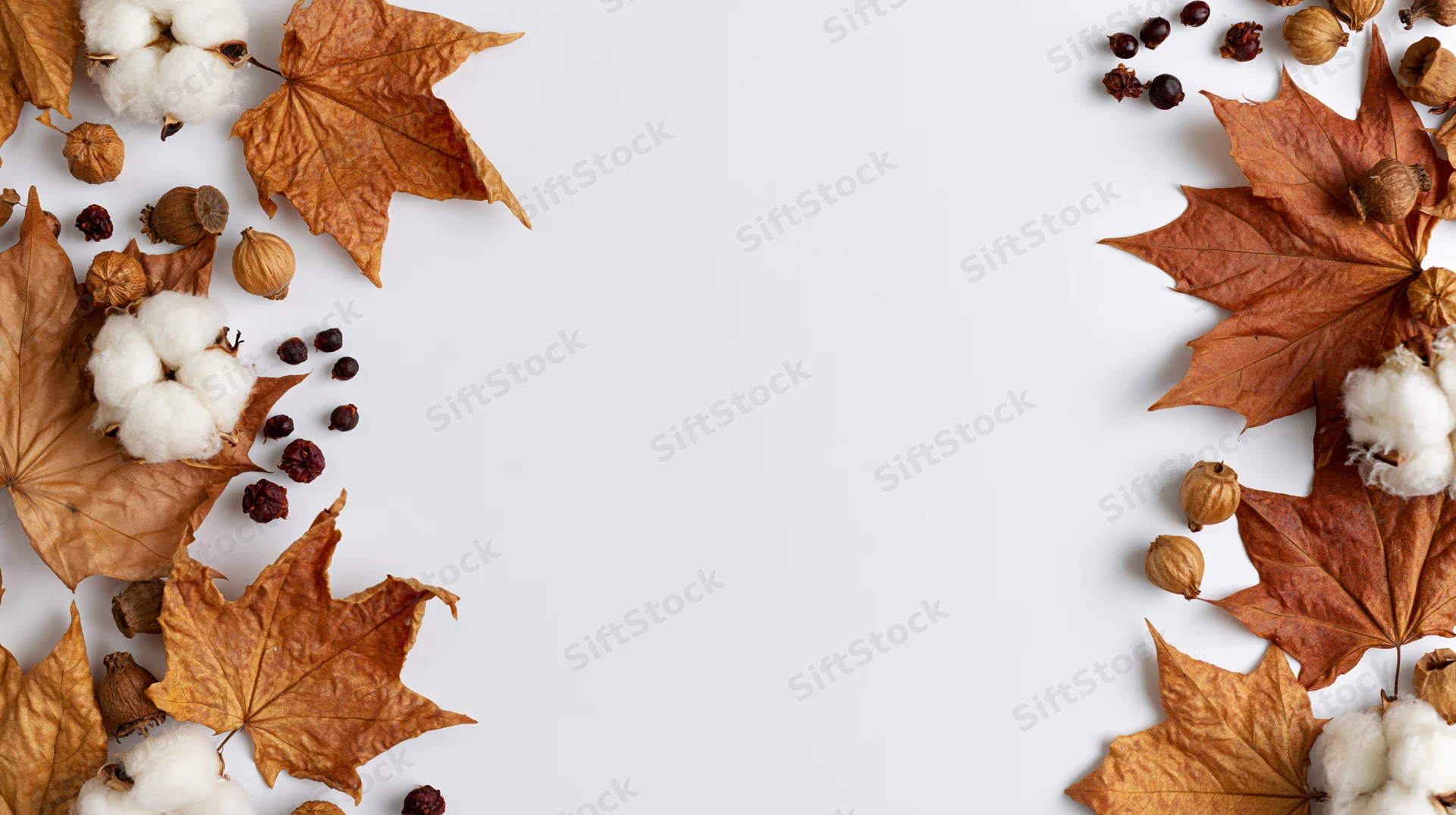 Dried maple leaves and cotton bolls arranged in flat lay on white surface with copyspace
