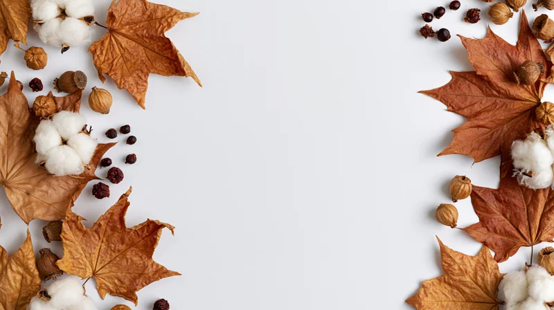 Dried maple leaves and cotton bolls arranged in flat lay on white surface with copyspace