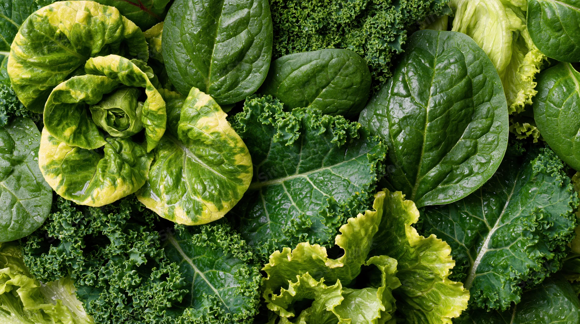 Overhead view of assorted fresh leafy greens densely arranged in a flat lay