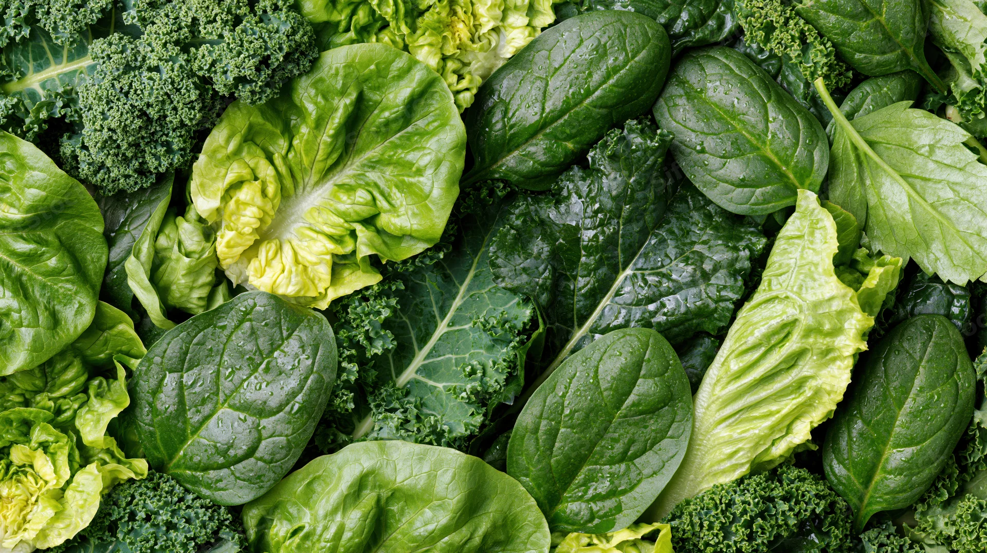 Overhead flat lay of assorted fresh leafy greens densely arranged on a surface