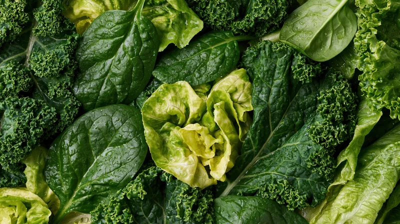 Overhead view of assorted fresh leafy greens densely arranged in a flat lay