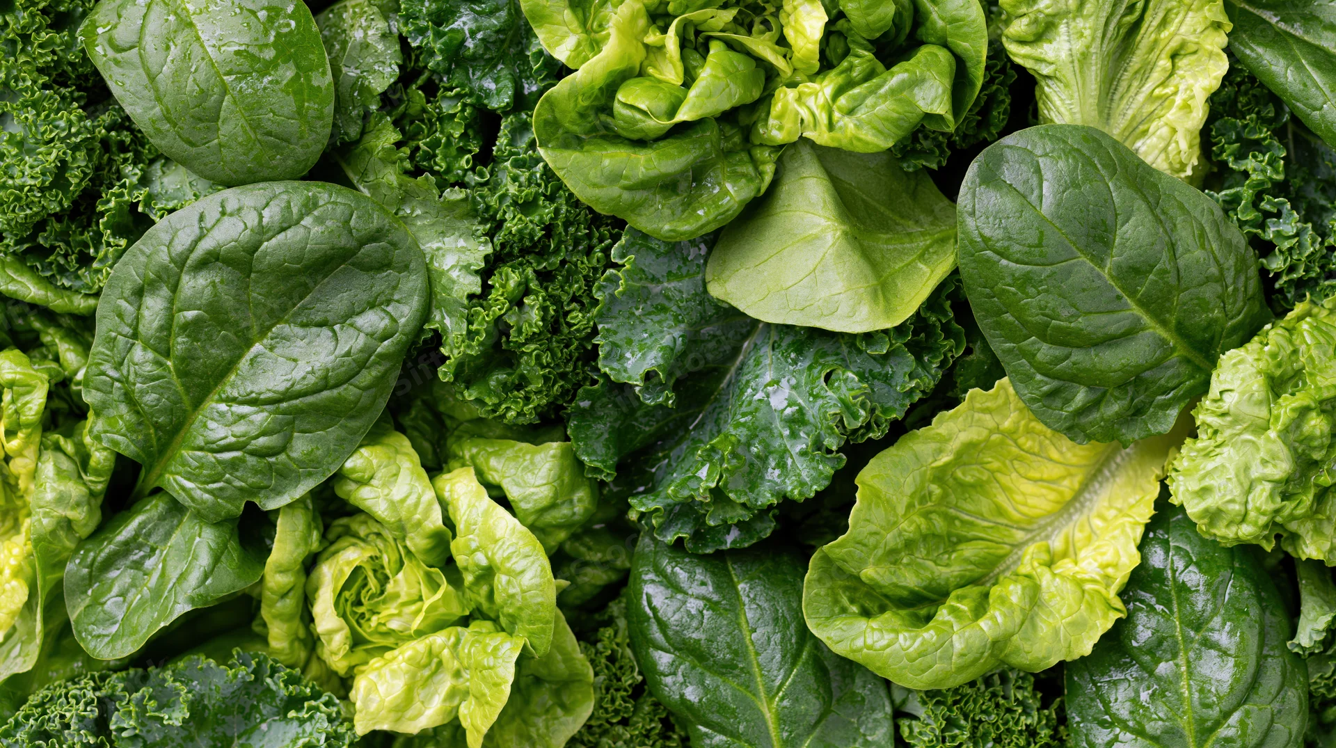 Overhead view of assorted fresh leafy greens densely arranged in a flat lay composition