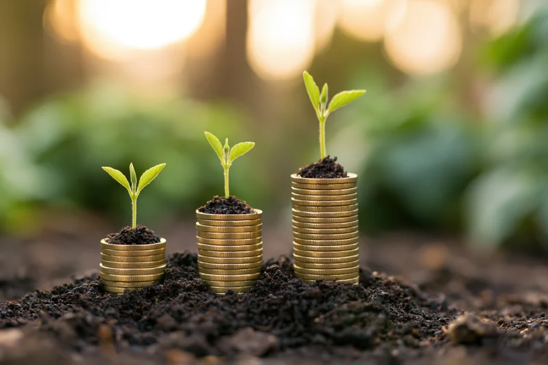 Three stacks of coins with seedlings growing from soil in ascending order outdoors
