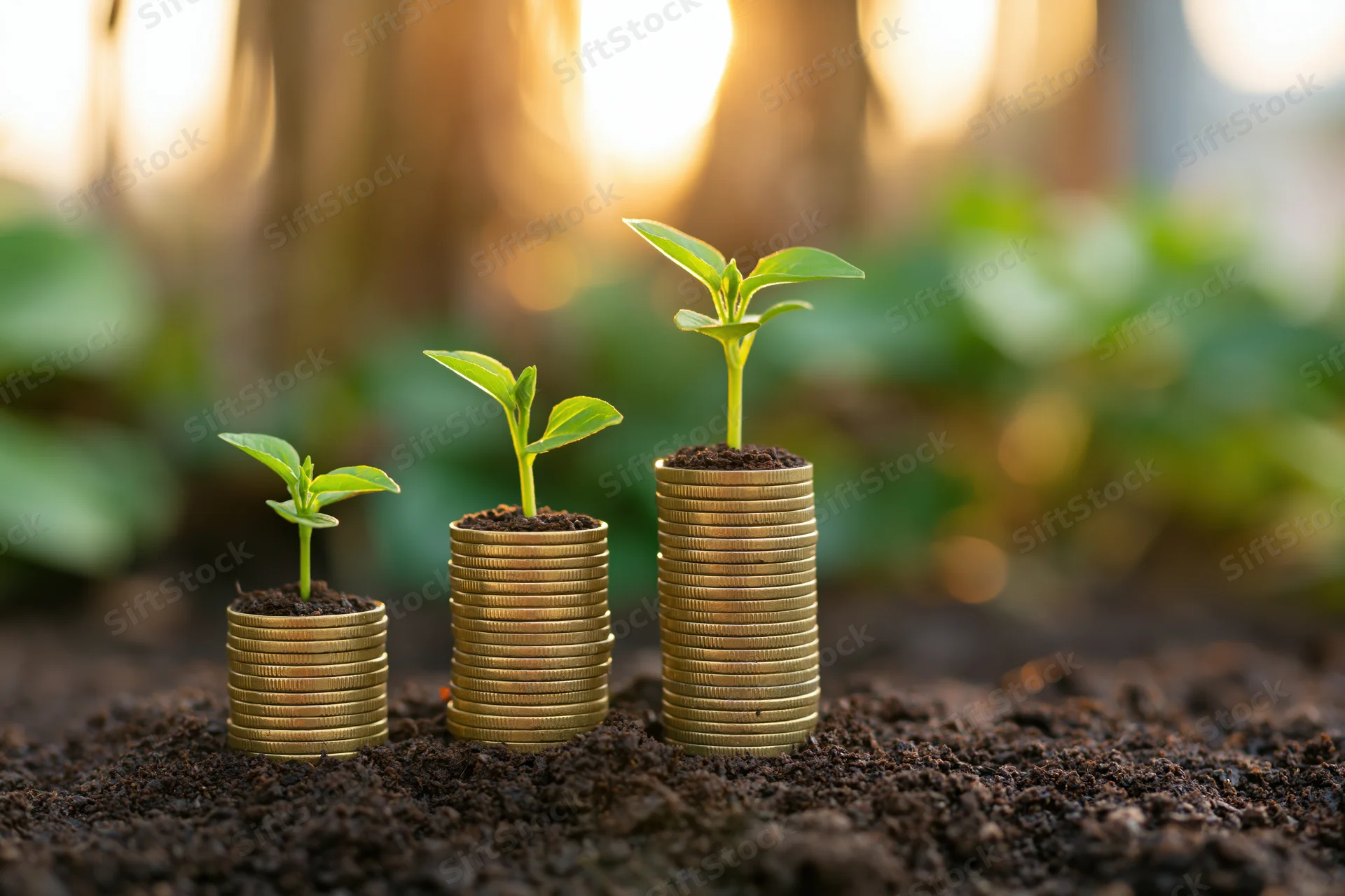 Three stacks of coins with growing plants in soil, arranged in ascending height, outdoors in natural light