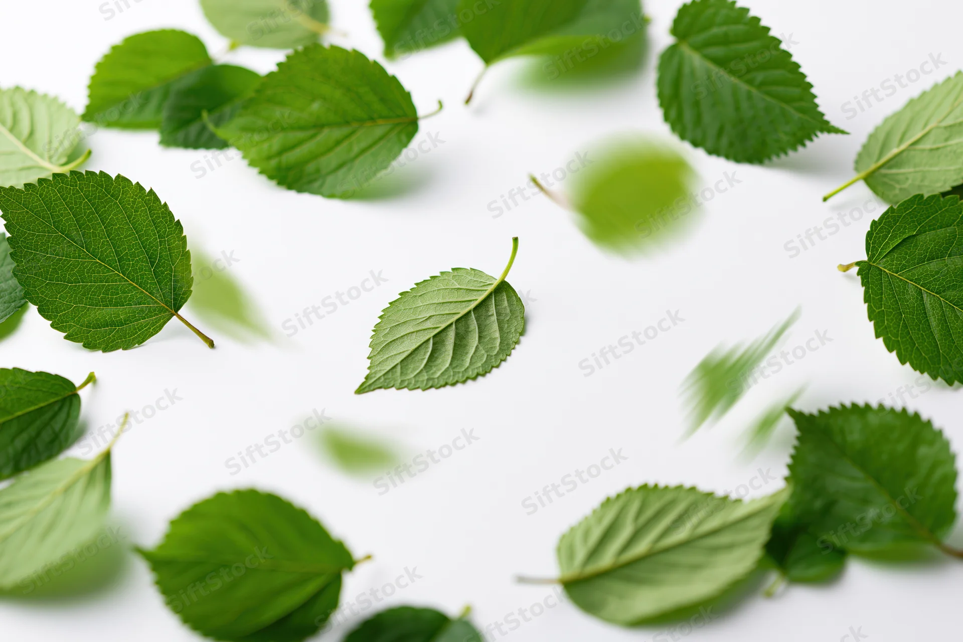 Green leaves scattered on white surface with some in motion