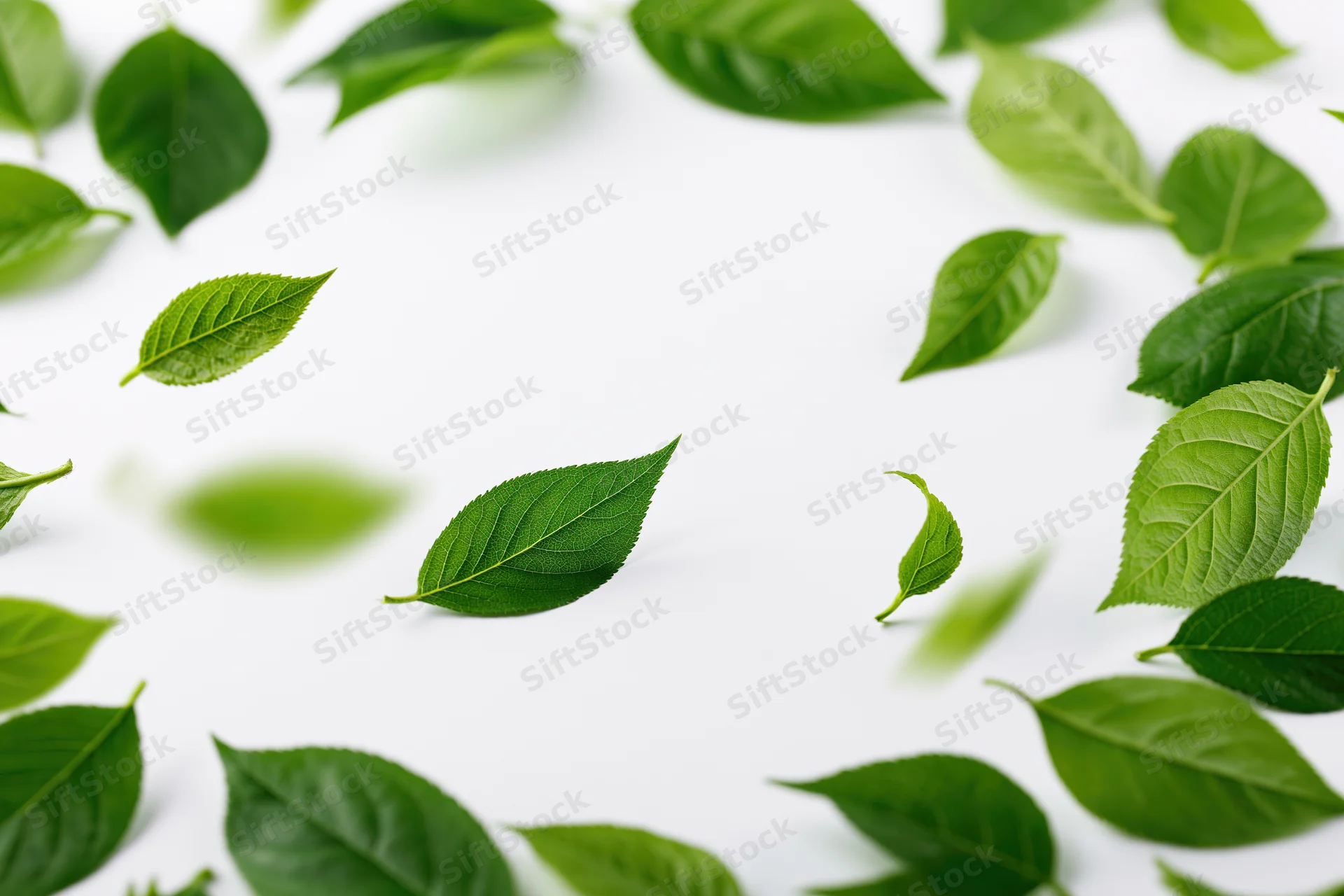 Green leaves scattered on white surface with copyspace