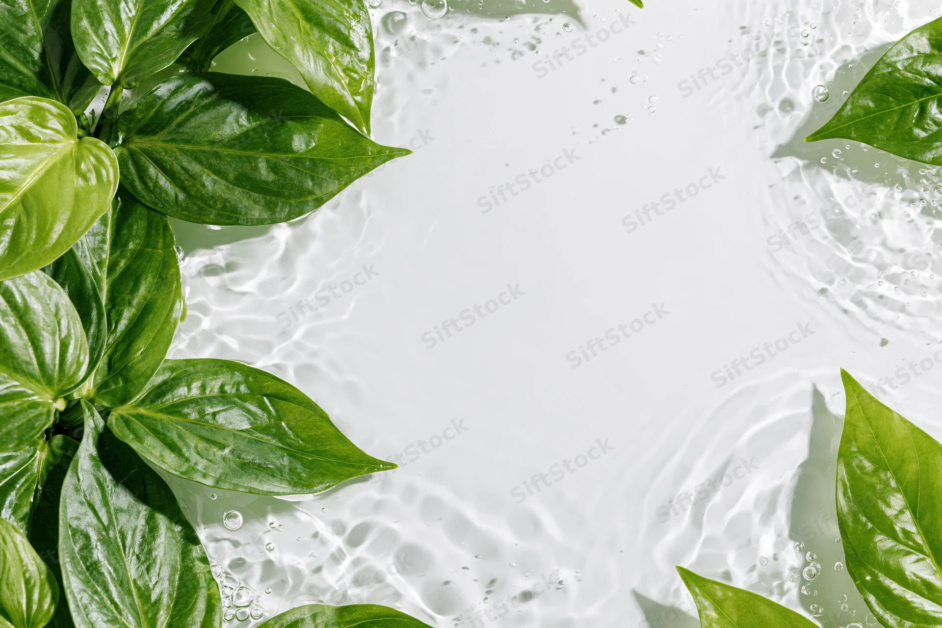 Green tropical leaves floating on shallow clear water with ripples and bubbles, arranged around a central copyspace
