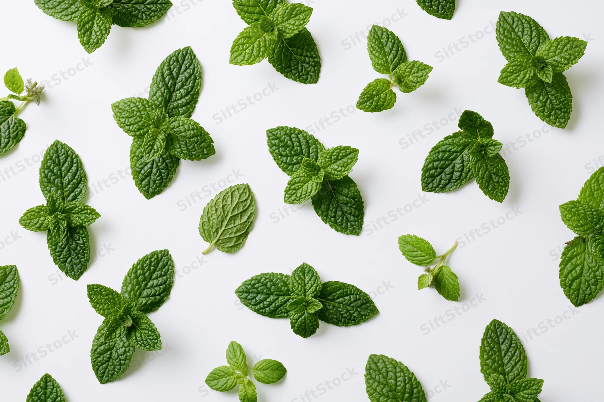 Fresh mint leaves scattered loosely on a white surface