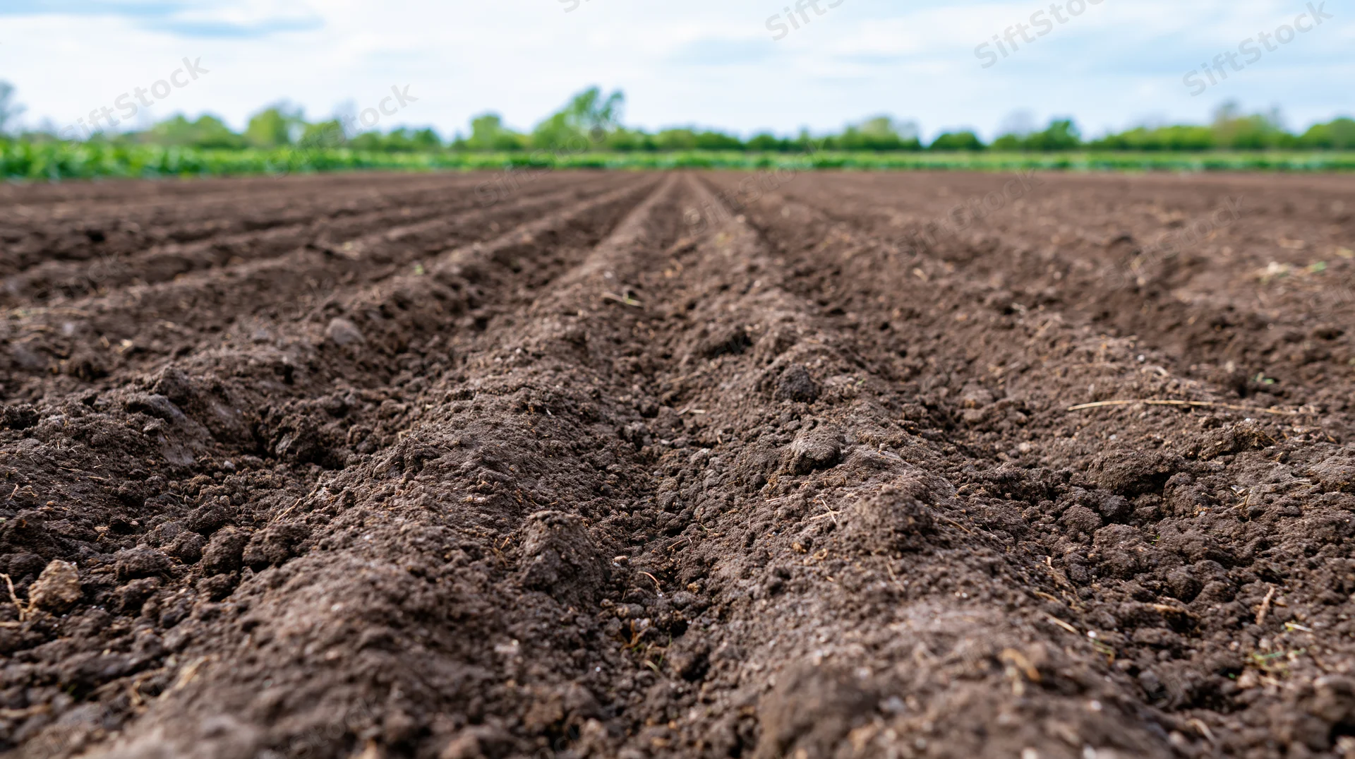 Freshly plowed agricultural field with dark brown soil furrows stretching toward the horizon