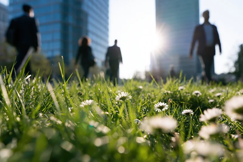Low-angle view of green grass and white daisies with blurred office workers walking in city skyline background
