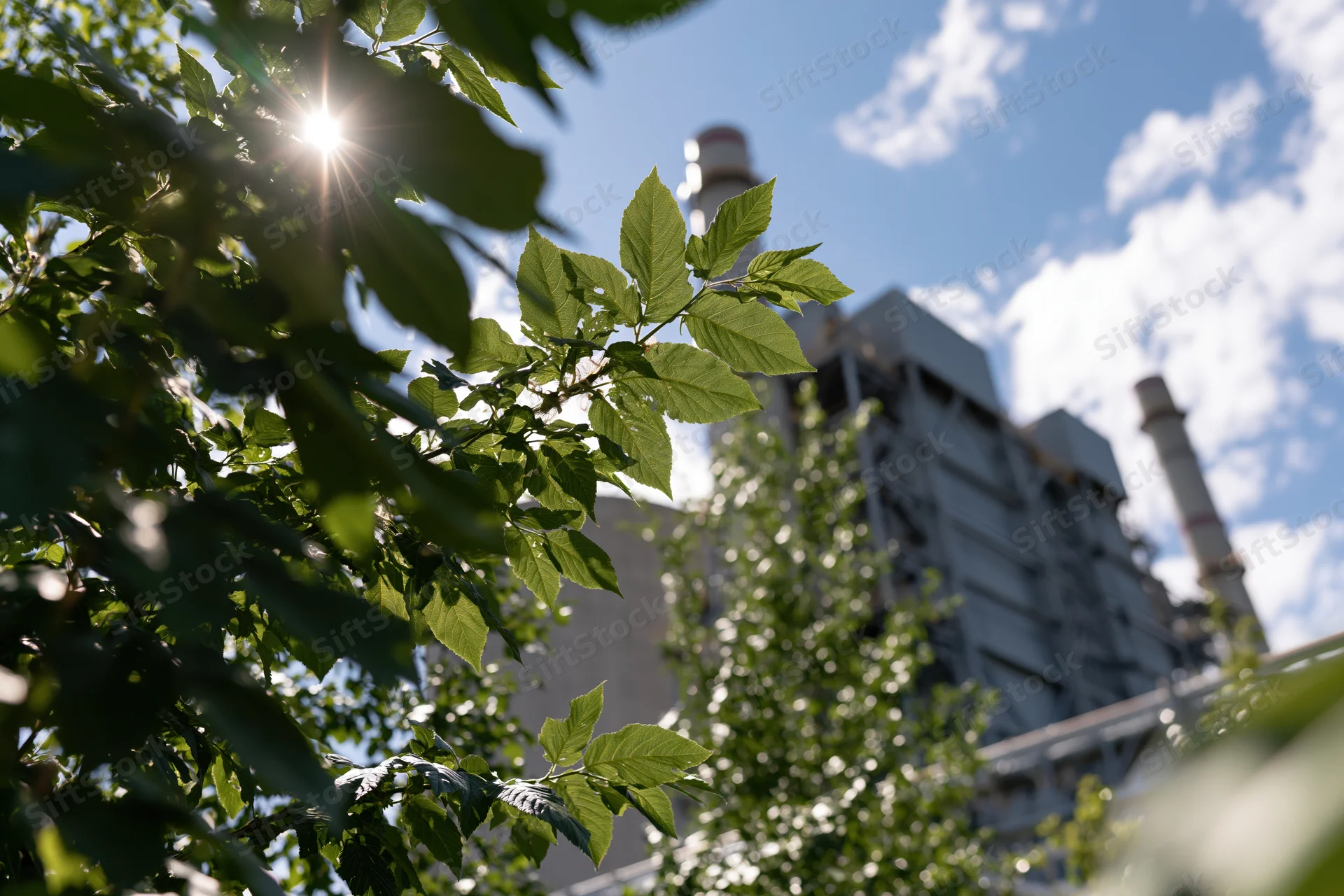 Green leaves in foreground with industrial facility and smokestacks in background under sunny sky