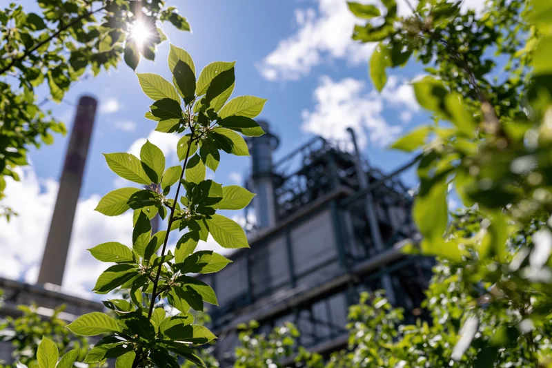Green leaves in foreground with industrial factory and smokestacks in background under sunny sky