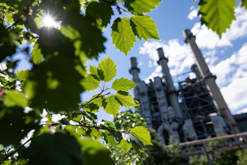 Green leaves in foreground with industrial factory and smokestacks in background under bright sun