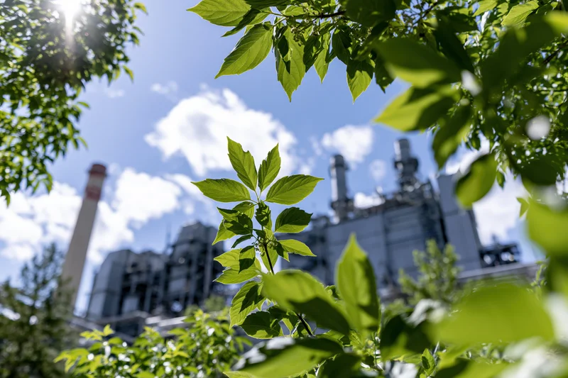 Green leaves in foreground with industrial factory and smokestacks in background under blue sky