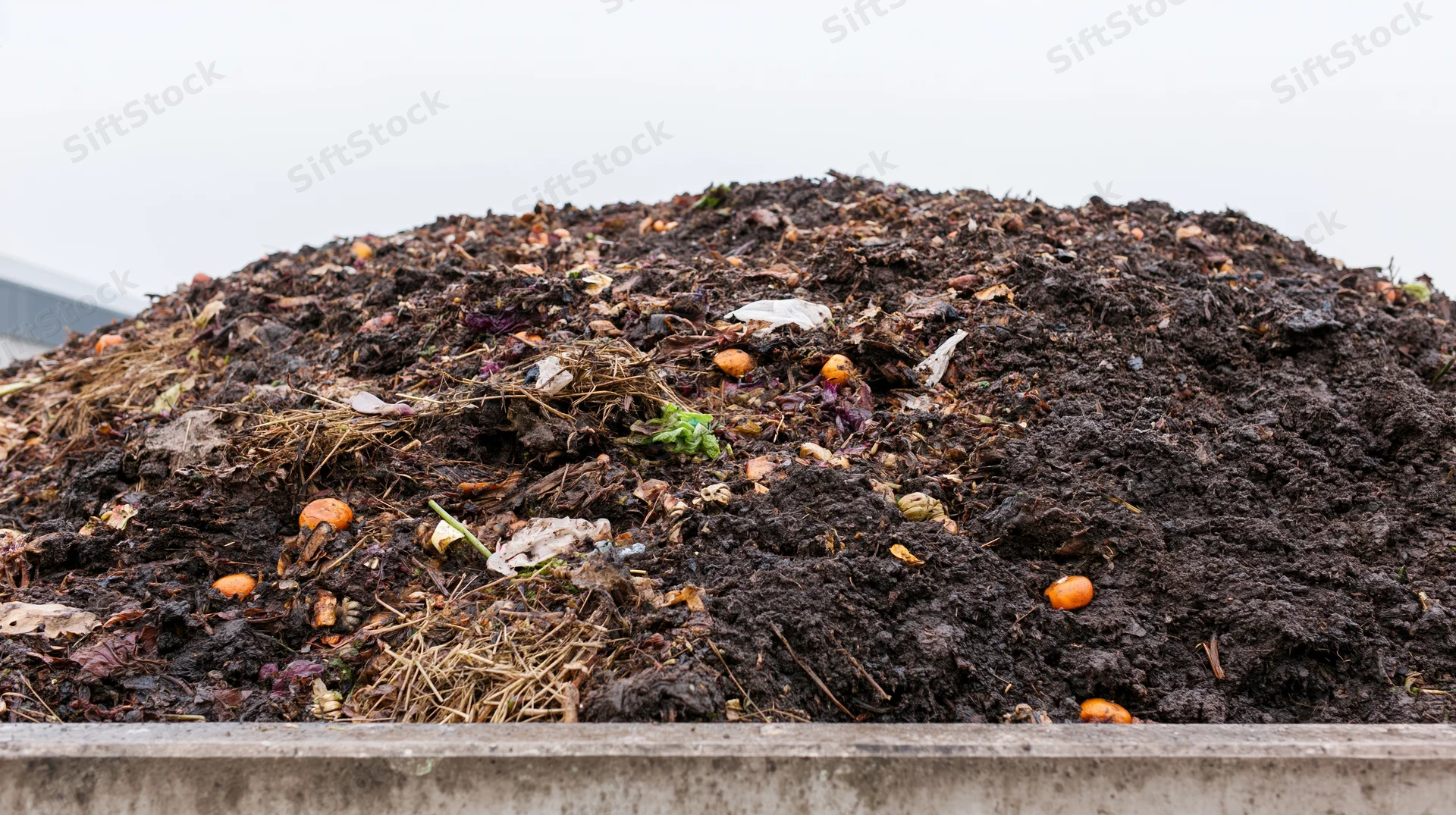 Large outdoor compost pile of decomposing food waste and organic matter in an industrial setting