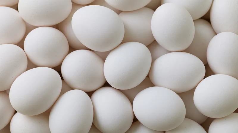 Closeup of white chicken eggs piled together filling the frame
