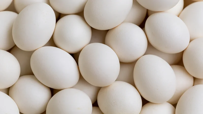 Closeup of white chicken eggs piled together filling the frame