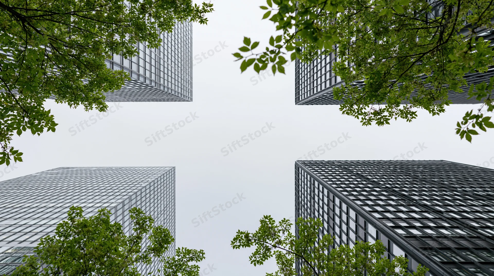 Low-angle view of modern glass skyscrapers framed by green tree branches against an overcast sky