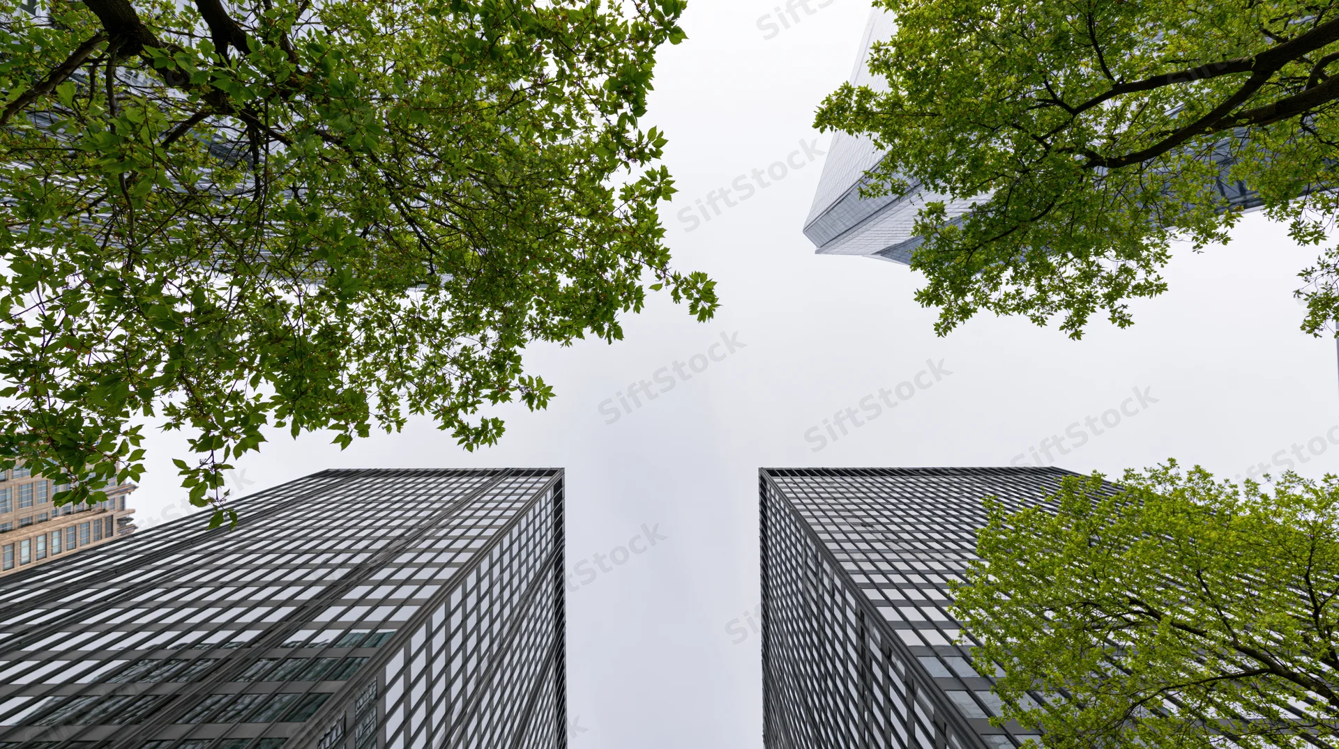 Low-angle view of modern skyscrapers framed by green tree branches against an overcast sky