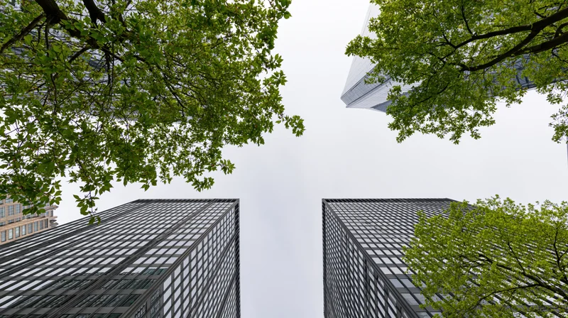 Low-angle view of modern skyscrapers framed by green tree branches against an overcast sky