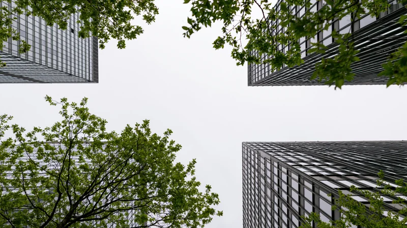 Low-angle view of modern glass skyscrapers framed by green tree branches against overcast sky