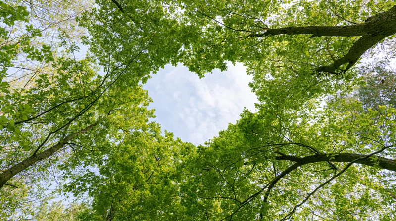 Upward view through dense green forest canopy revealing blue sky with clouds