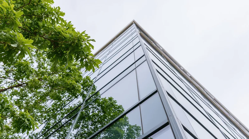 Low angle view of a modern office building's glass curtain wall with trees in the foreground