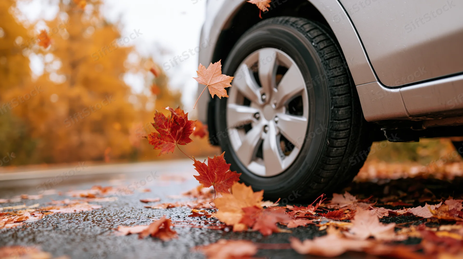 Closeup of car tire on wet pavement surrounded by fallen autumn leaves