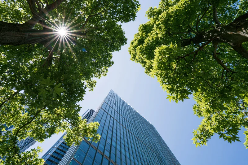 Low-angle upward view of a glass-curtain office skyscraper framed by green trees and sunburst against blue sky