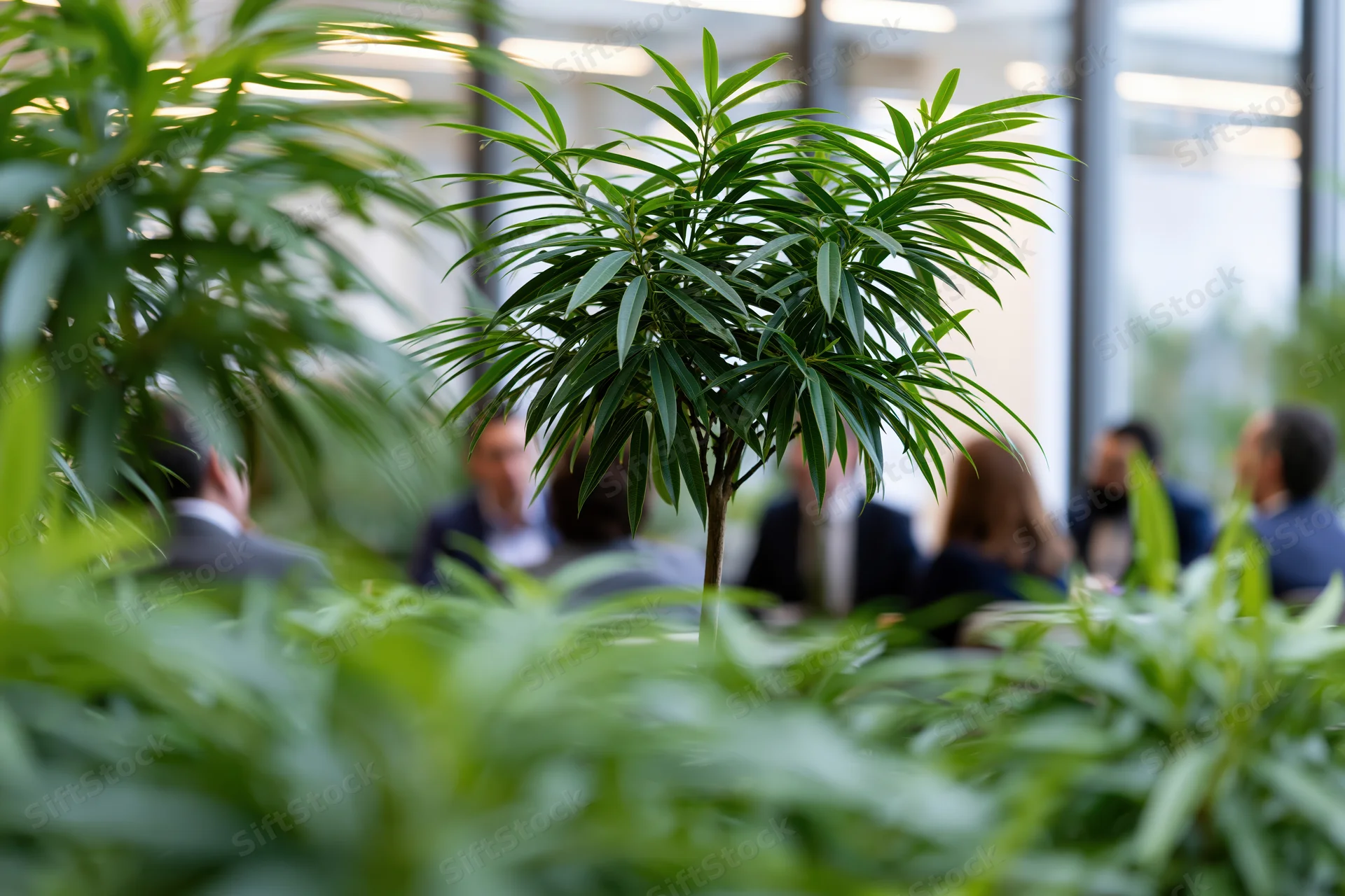 Lush indoor plants in foreground with blurred office meeting in background