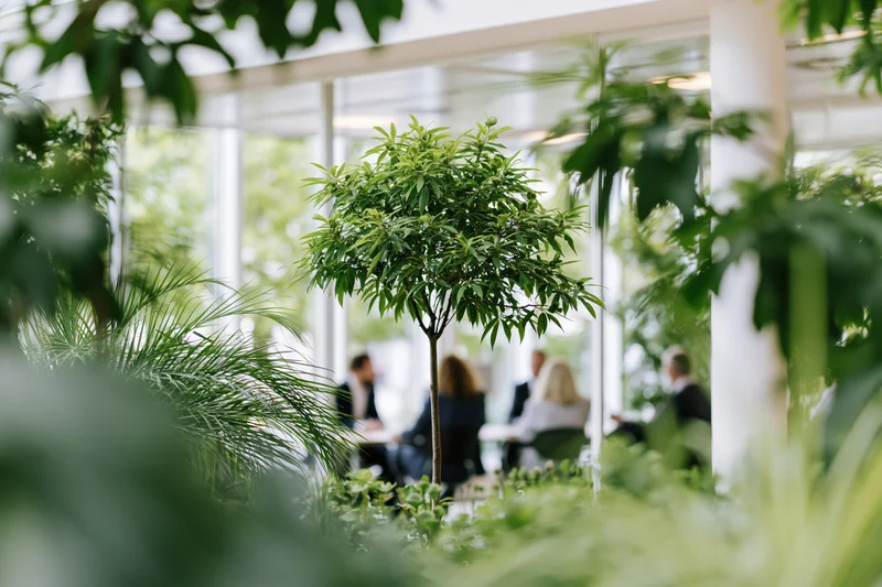 Lush indoor plants framing a group of professionals in a modern office meeting space