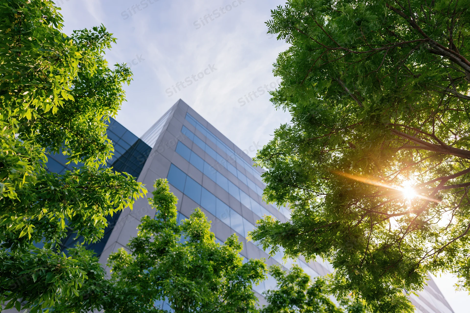 Modern glass and concrete office building viewed from ground level through green trees with sunlight filtering through foliage