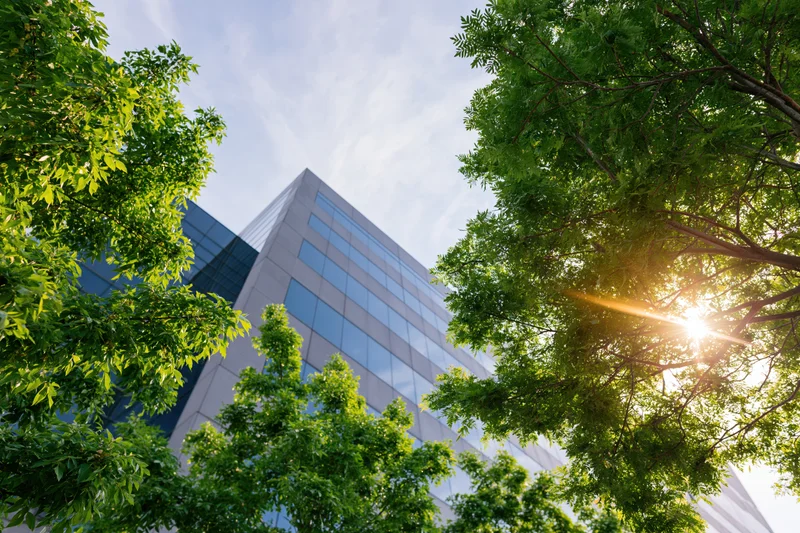 Modern glass and concrete office building viewed from ground level through green trees with sunlight filtering through foliage