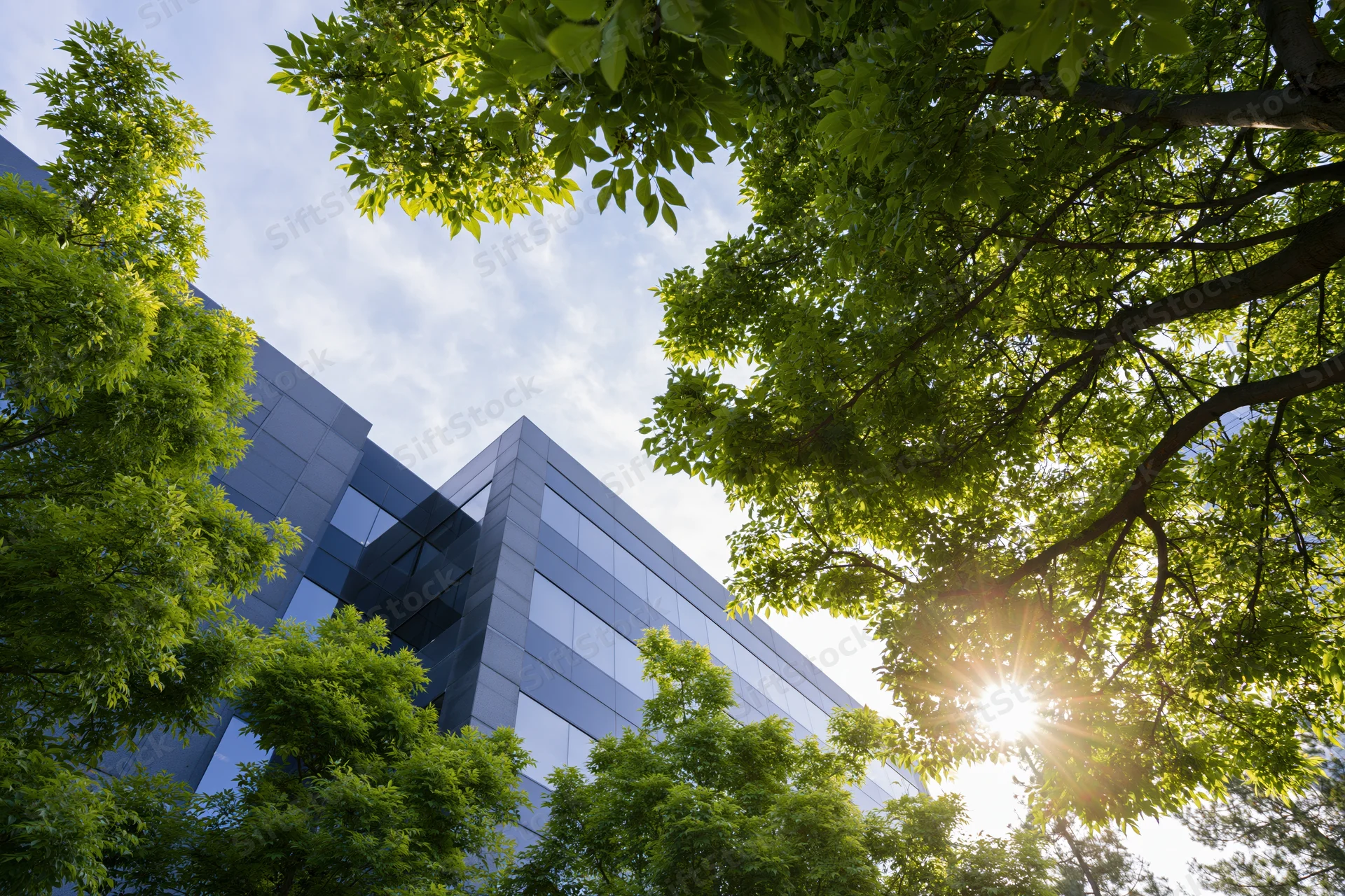 Low-angle view of modern glass and concrete office building framed by green trees under sunlight