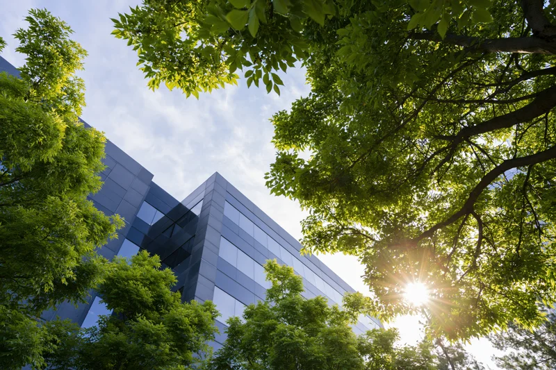 Low-angle view of modern glass and concrete office building framed by green trees under sunlight