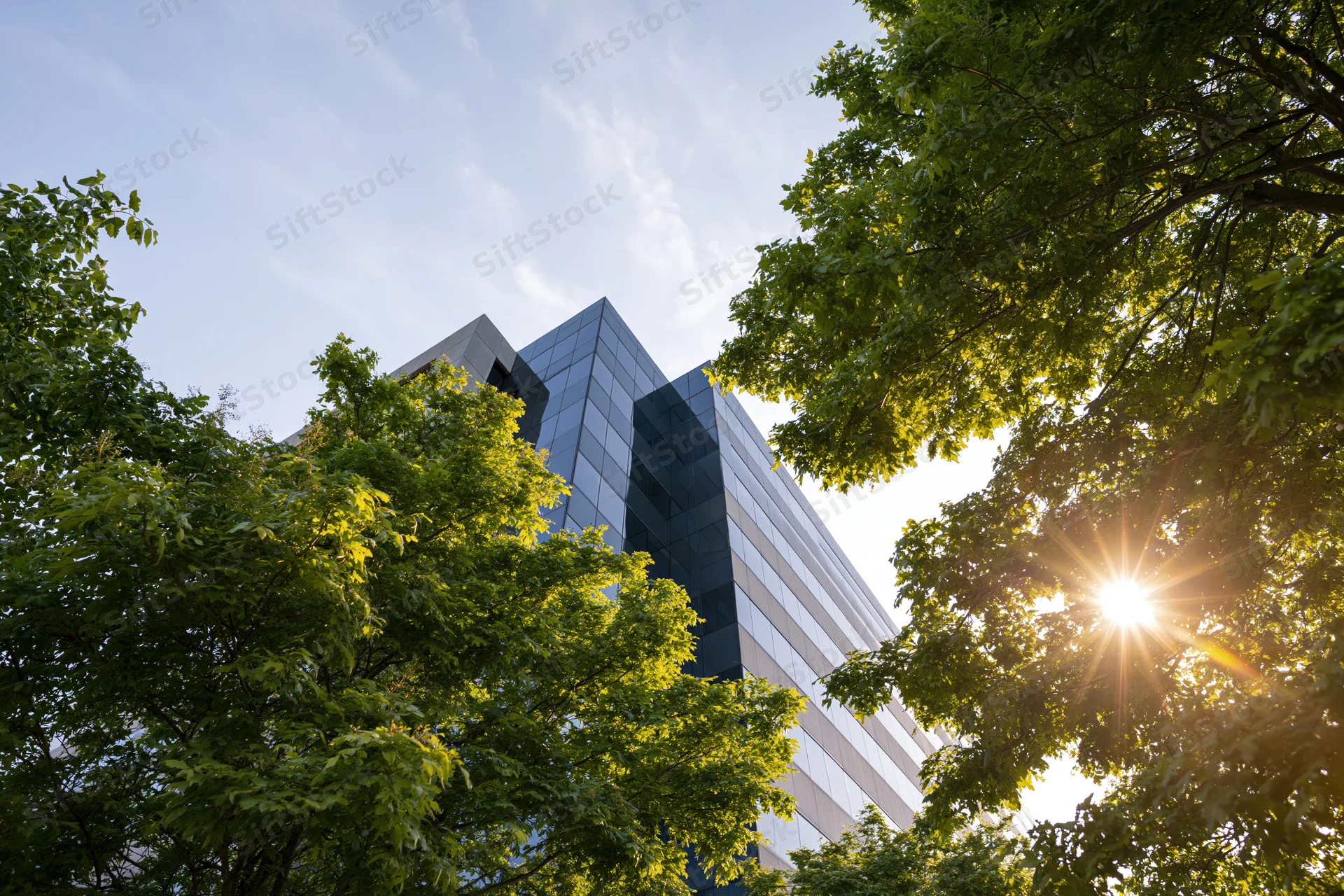 Modern glass and concrete office building viewed from ground level through trees with sunlight filtering through foliage