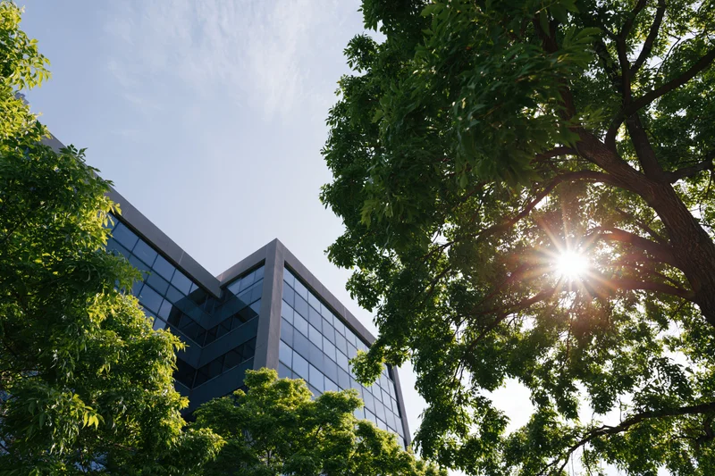 Modern glass and concrete office building viewed from ground level through trees with sunlight filtering through foliage