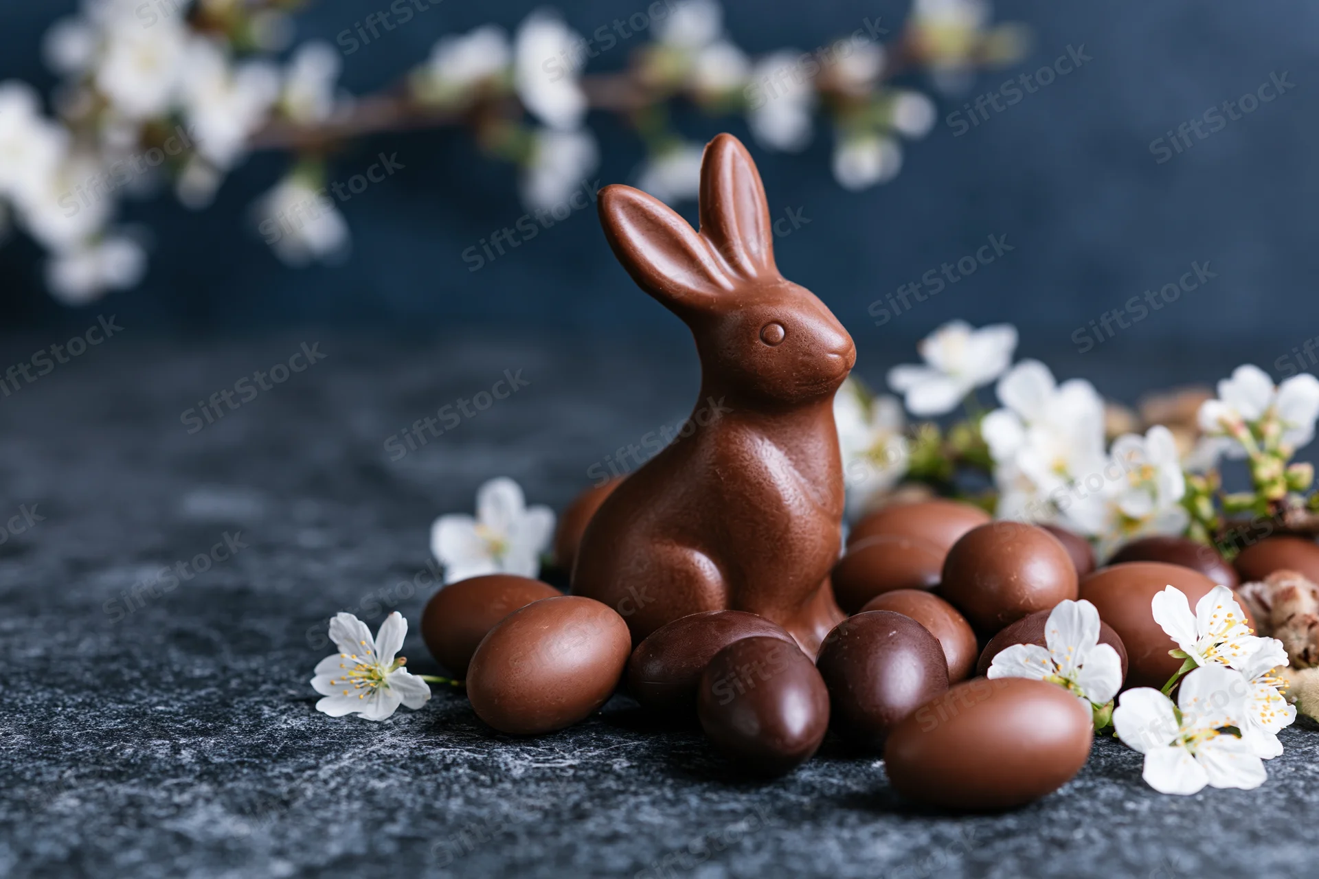 Chocolate easter bunny figurine surrounded by chocolate eggs and white blossoms on dark stone surface