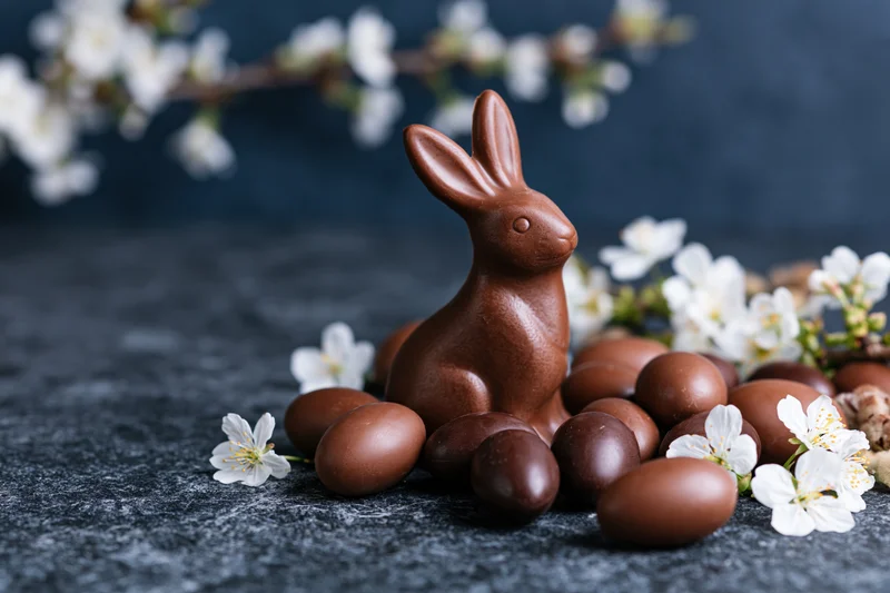 Chocolate easter bunny figurine surrounded by chocolate eggs and white blossoms on dark stone surface